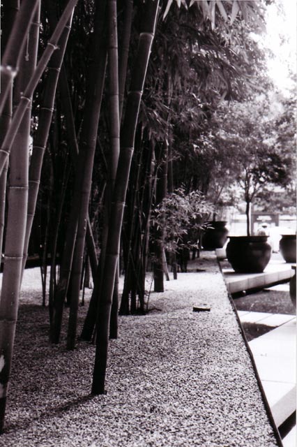 Bamboo lunch spot &copy; Dennis Mojado