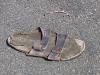 Birk