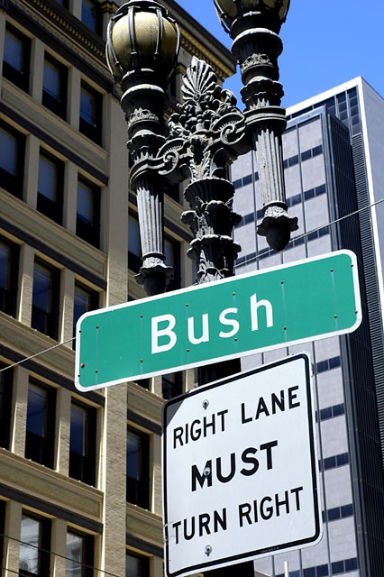 Bush Right &copy; Dennis Mojado