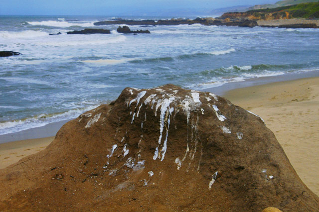 Crappy Rock &copy; Dennis Mojado
