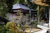 Daikakuji House