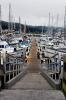Dock