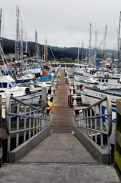 Dock &copy; Dennis Mojado