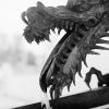 Dragon Water II