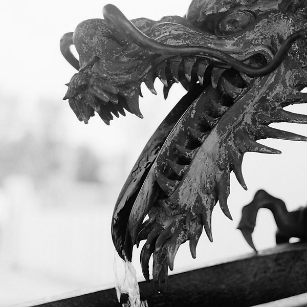 Dragon Water II &copy; Dennis Mojado