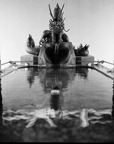 Dragon Water &copy; Dennis Mojado