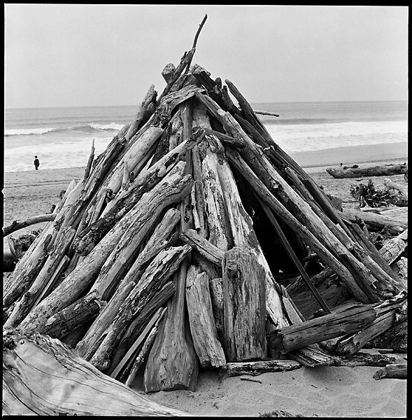 Driftwood Hut II &copy; Dennis Mojado