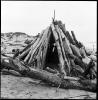 Driftwood Hut