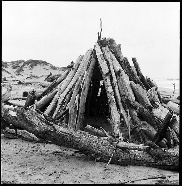 Driftwood Hut &copy; Dennis Mojado
