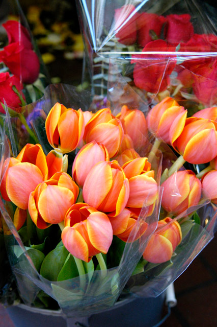 Flower Stand &copy; Dennis Mojado