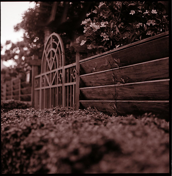Gate &copy; Dennis Mojado
