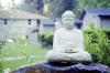 Guerneville Buddha