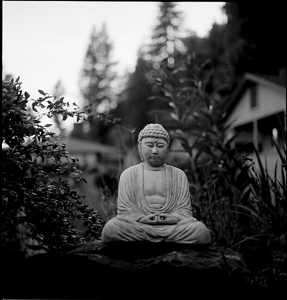 Guerneville Buddha &copy; Dennis Mojado