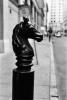Horse Head