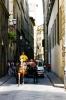 Horse and Carriage
