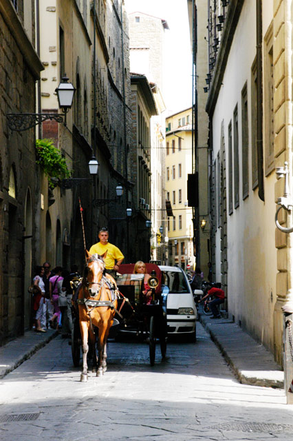 Horse and Carriage &copy; Dennis Mojado