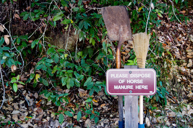 Horse Manure Here &copy; Dennis Mojado