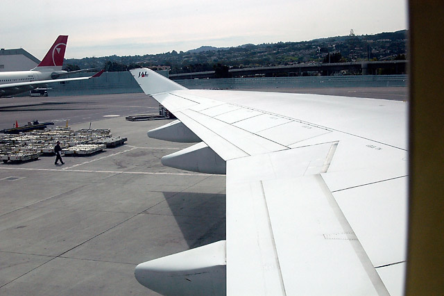 JAL Wing &copy; Dennis Mojado