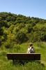 Bench in nature