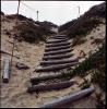 Log Stairs