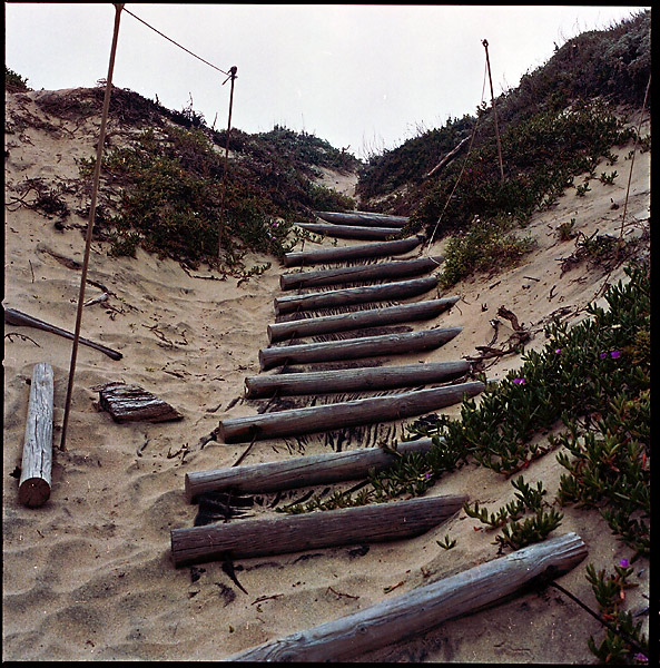 Log Stairs &copy; Dennis Mojado