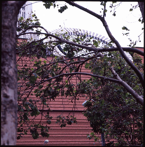 MOMA &copy; Dennis Mojado