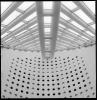 MOMA Roof