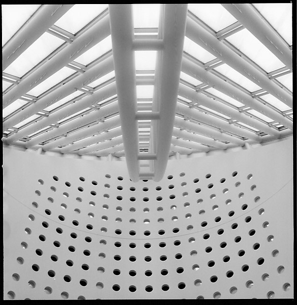 MOMA Roof &copy; Dennis Mojado