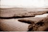 Marsh
