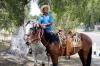 Mexican Horses
