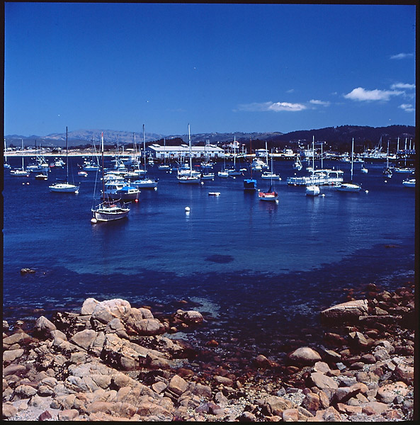 Monterey Bay &copy; Dennis Mojado