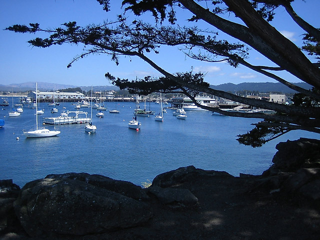 Monterey Boats &copy; Dennis Mojado