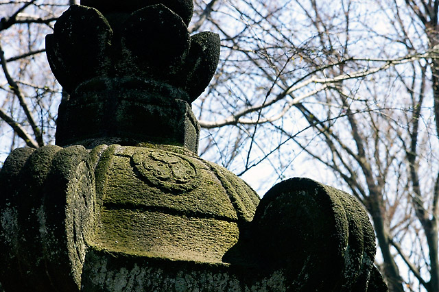 Moss Lantern &copy; Dennis Mojado