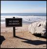 No Dogs on Beach