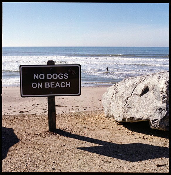 No Dogs on Beach &copy; Dennis Mojado