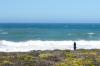 Ocean Watch