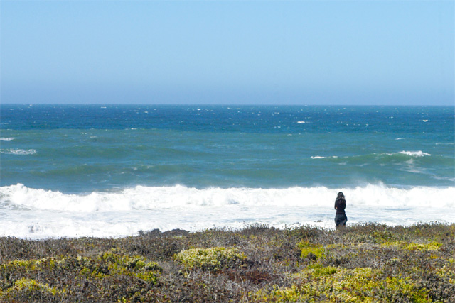 Ocean Watch &copy; Dennis Mojado