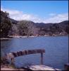 Osawa Pond III