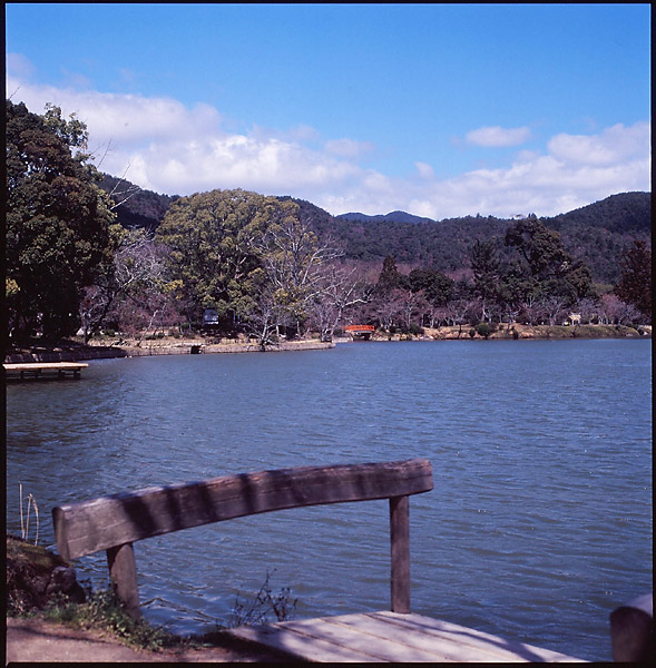 Osawa Pond III &copy; Dennis Mojado