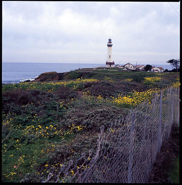 Pigeon Point &copy; Dennis Mojado