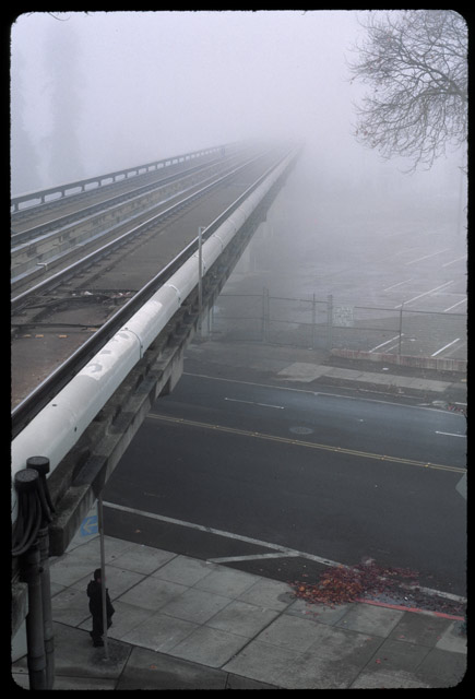 Rails into the Fog &copy; Dennis Mojado