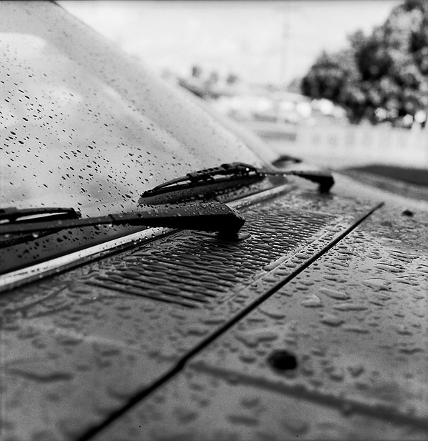 Raindrops &copy; Dennis Mojado