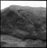 Rock Face