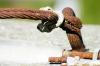 Rusted Cable