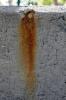 Rusty Concrete