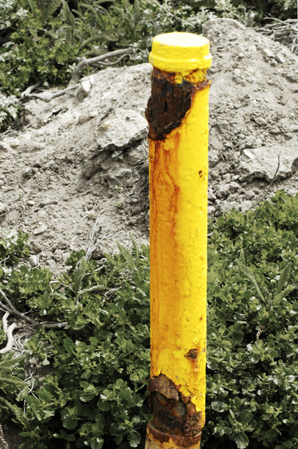 Rusty Post 2 &copy; Dennis Mojado