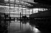 SFO Int'l