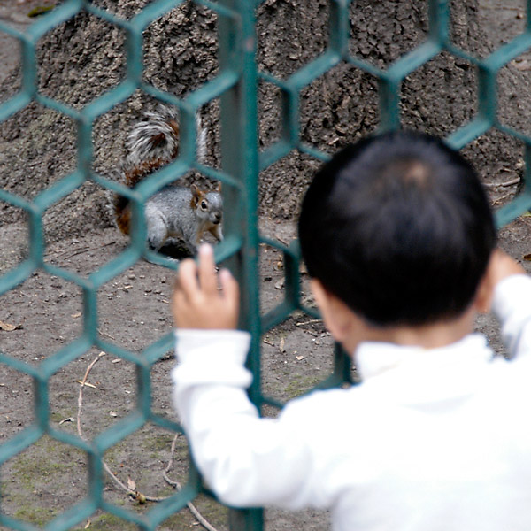 Squirrel Kid &copy; Dennis Mojado