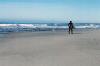 Surfer II