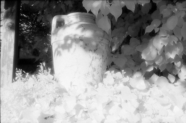 Infra-Urn &copy; Dennis Mojado